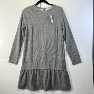 NWT Sz M NEW LOFT Ann Taylor Longsleeve Drop Waist Sweater Dress